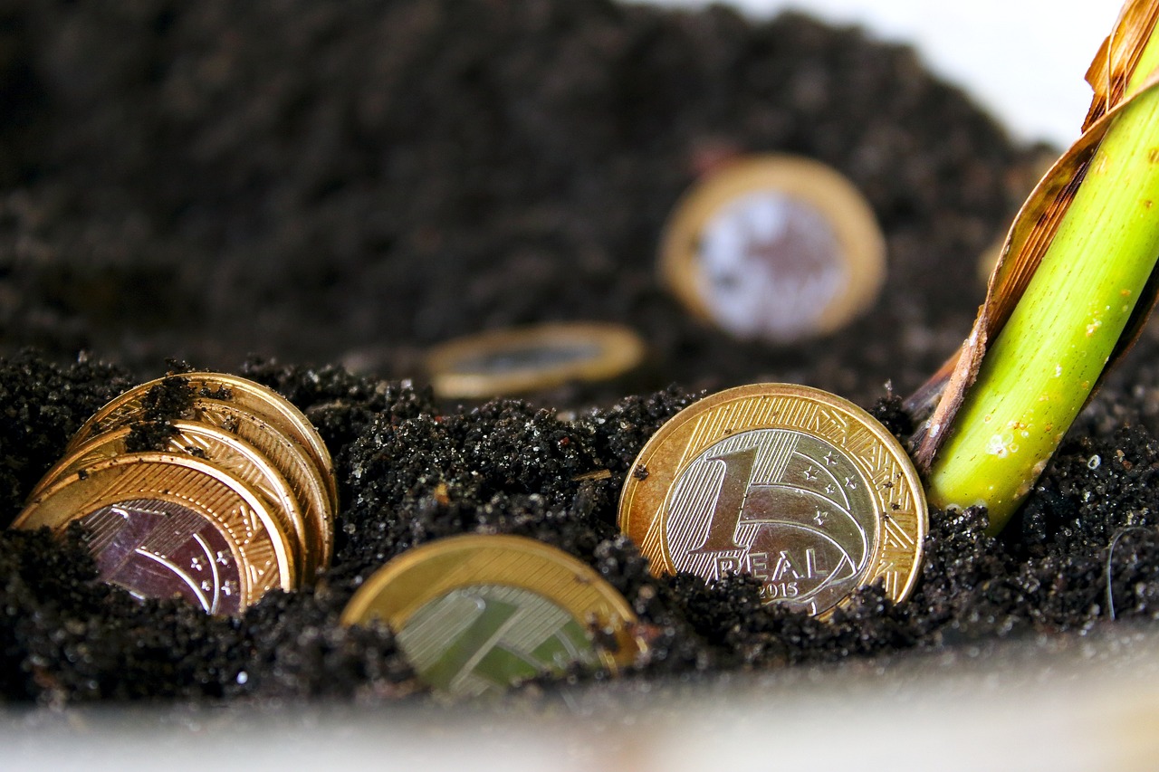 monedas-de-euro-en-tierra-alegoria-de-la-planificacion-financiera